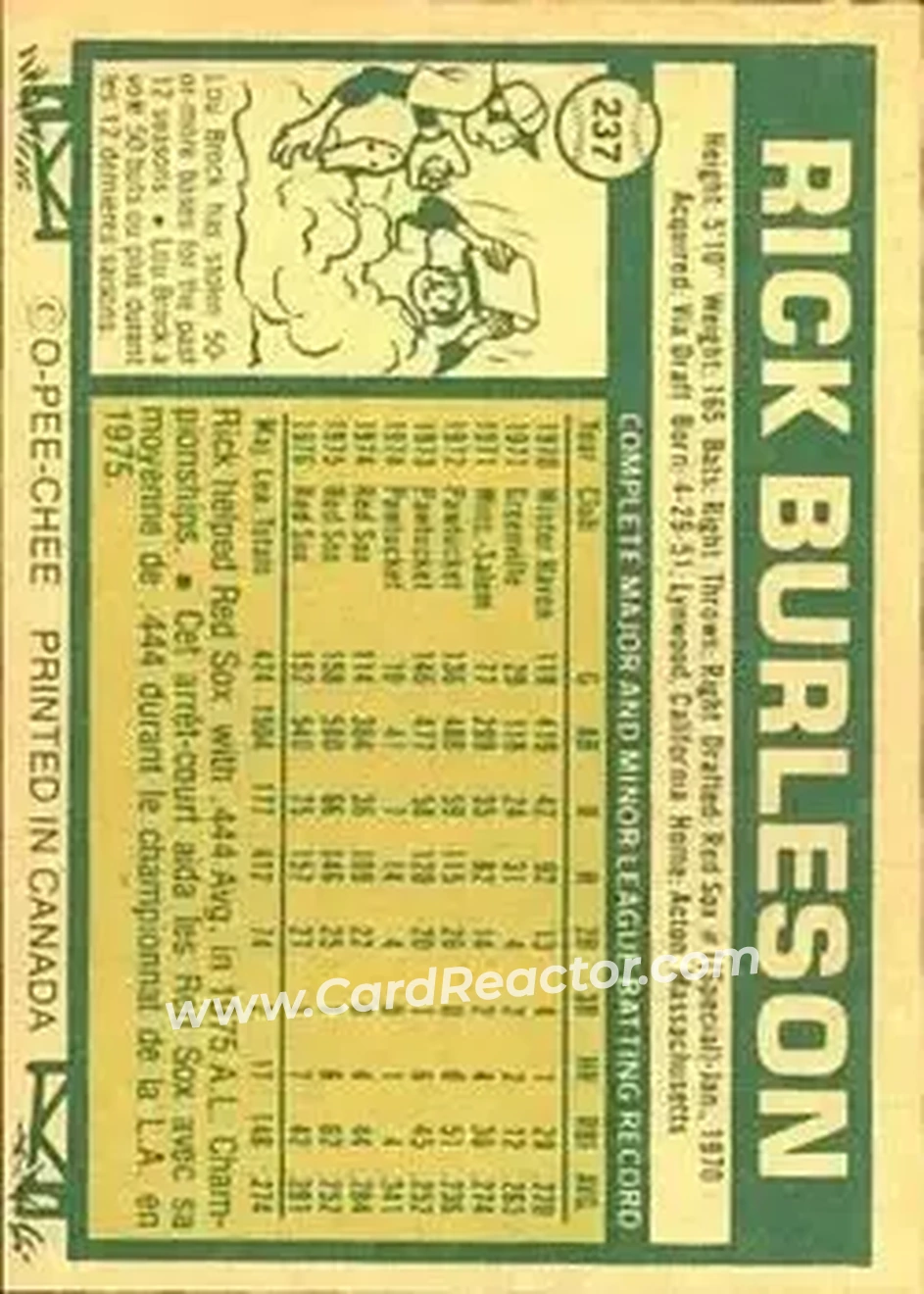 Back of Rick Burleson