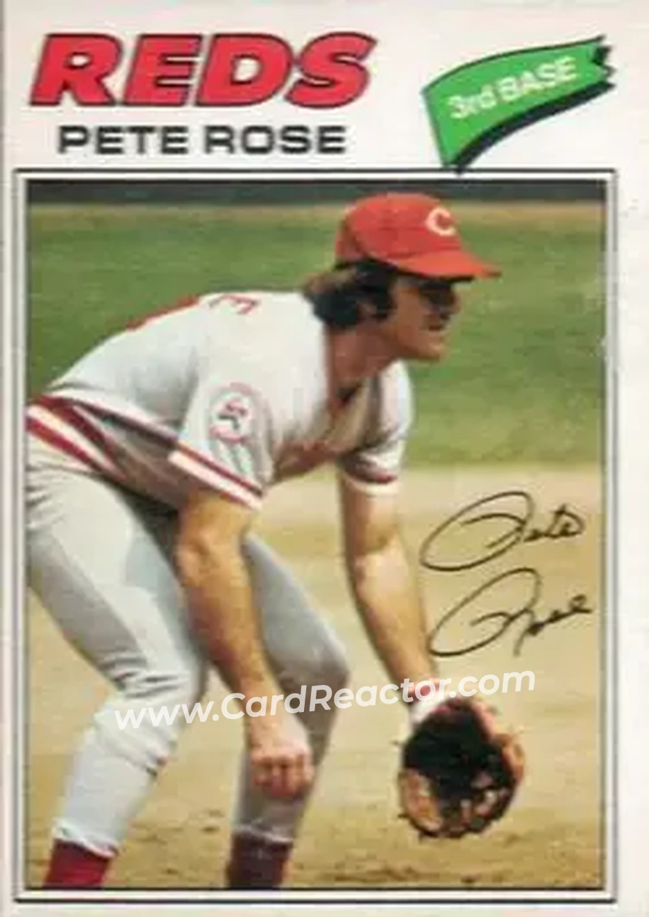 Front of Pete Rose