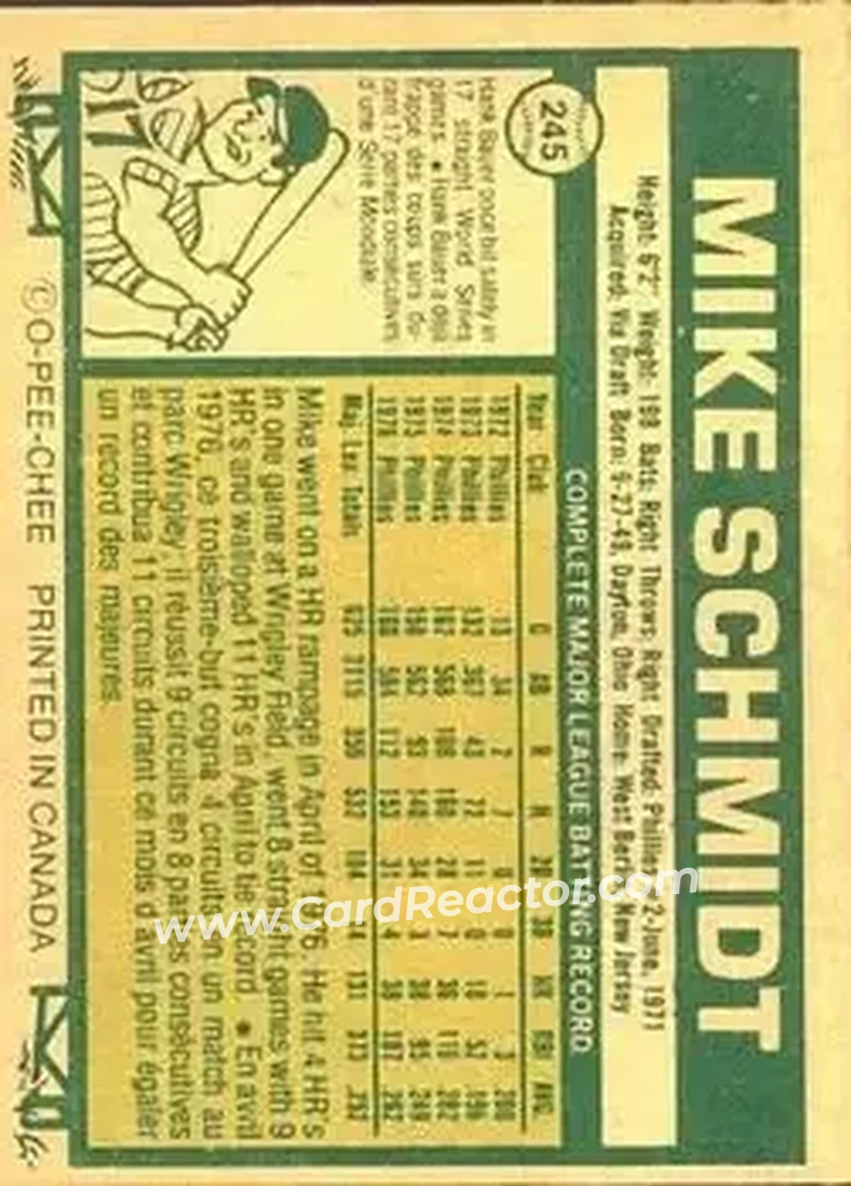Back of Mike Schmidt