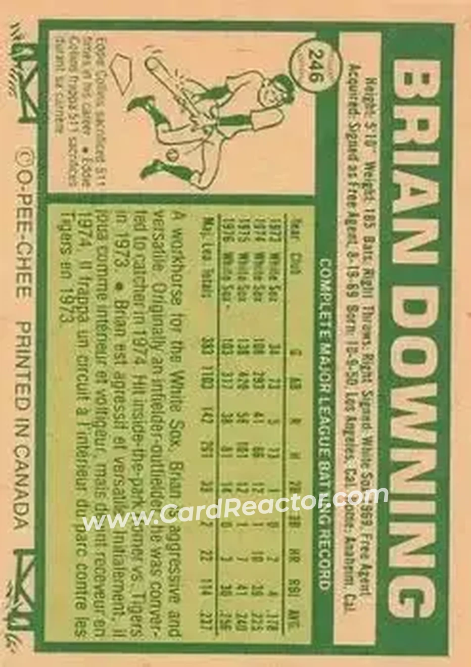 Back of Brian Downing