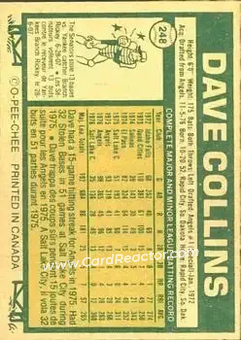 Back of Dave Collins