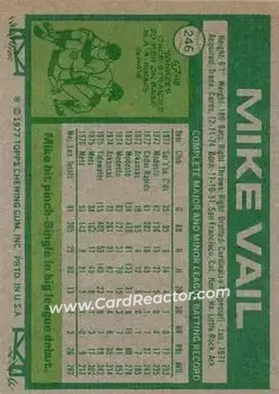 Back of Mike Vail
