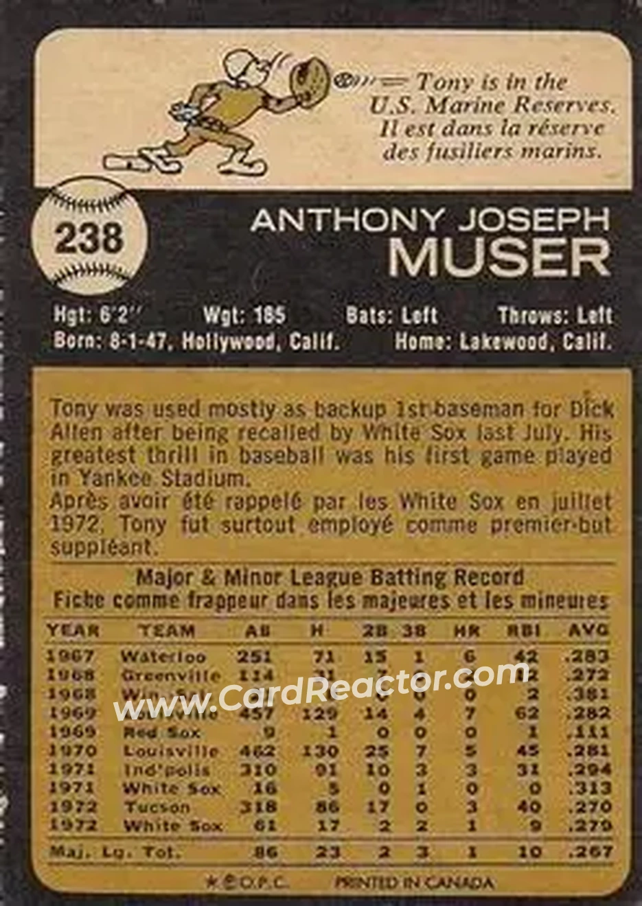 Back of Tony Muser