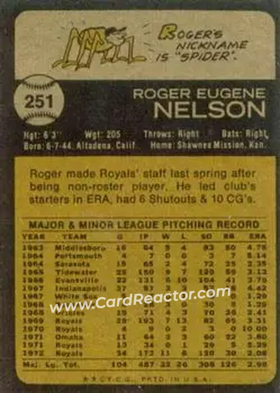 Back of Roger Nelson
