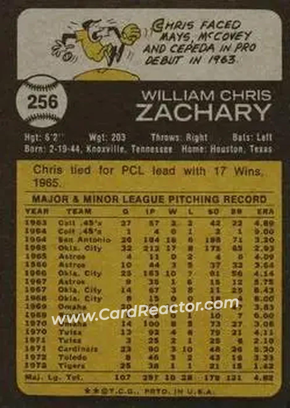 Back of Chris Zachary