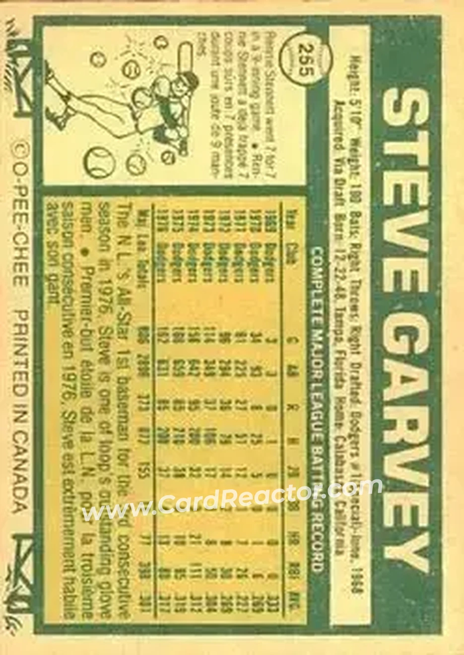 Back of Steve Garvey