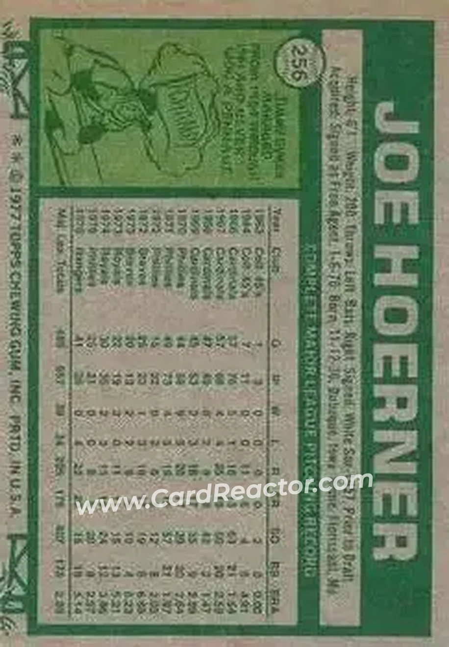 Back of Joe Hoerner