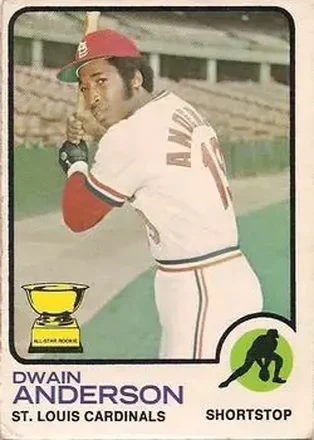 1973 O-Pee-Chee #241 Dwain Anderson