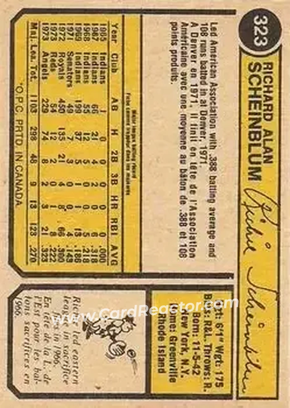 Back of Richie Scheinblum