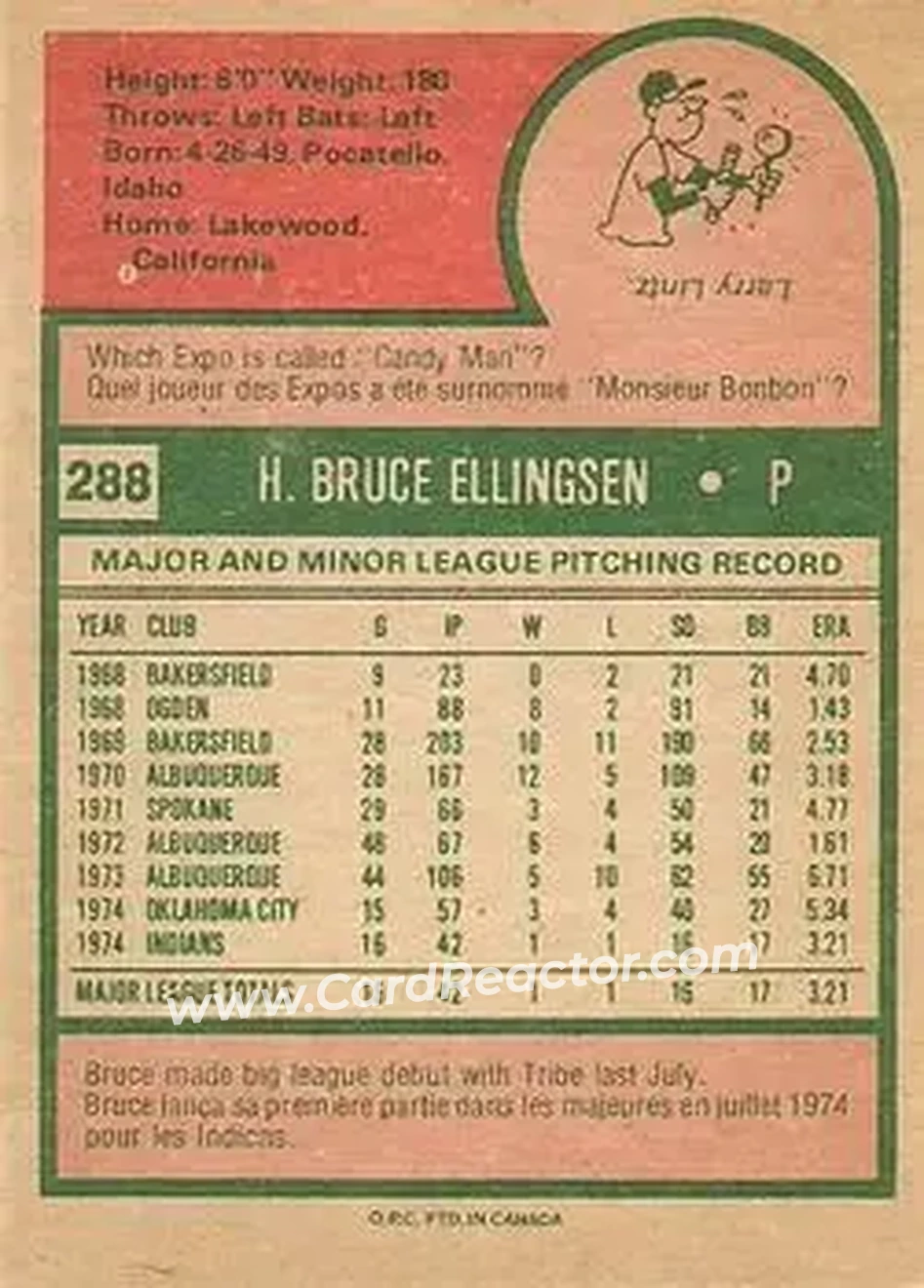 Back of Bruce Ellingsen