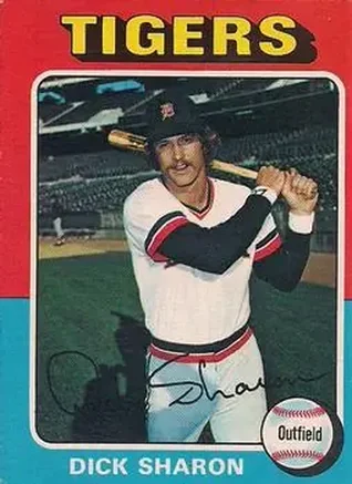 1975 O-Pee-Chee #293 Dick Sharon