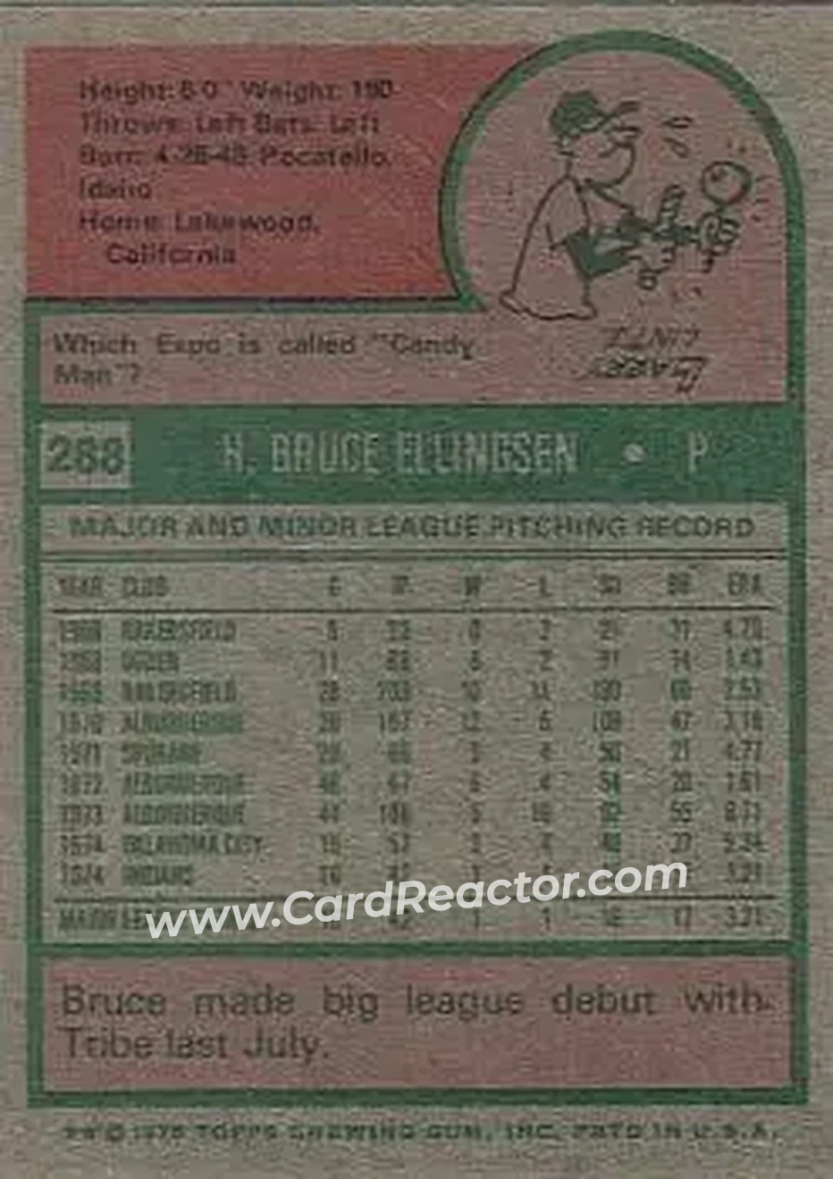 Back of Bruce Ellingsen