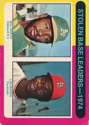 1975 O-Pee-Chee #309 Card #309