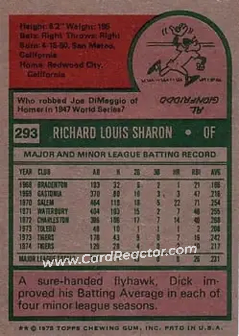 Back of Dick Sharon