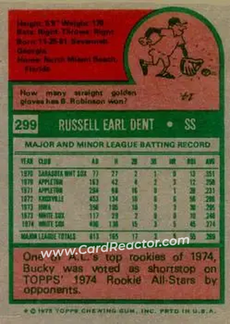 Back of Bucky Dent