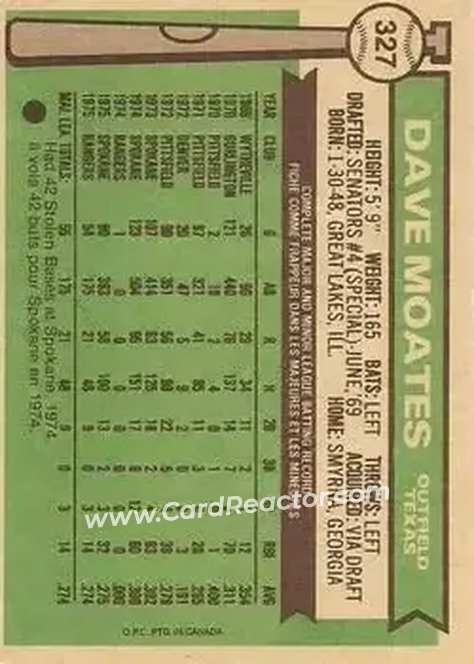 Back of Dave Moates