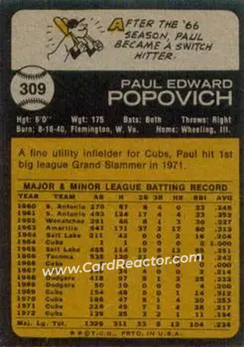 Back of Paul Popovich