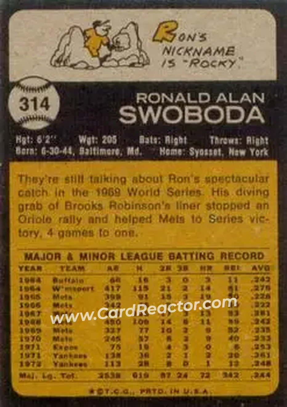 Back of Ron Swoboda
