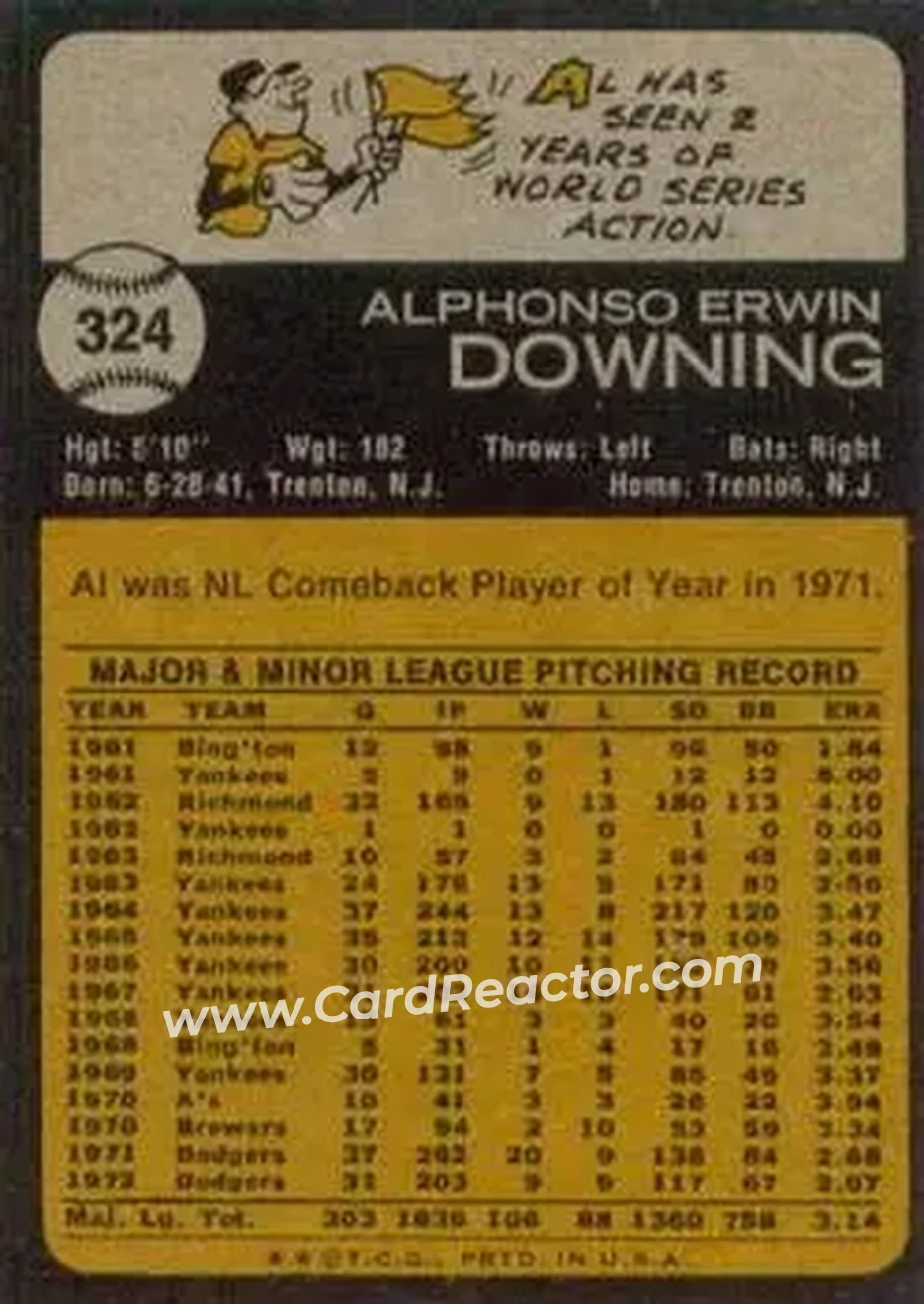 Back of Al Downing