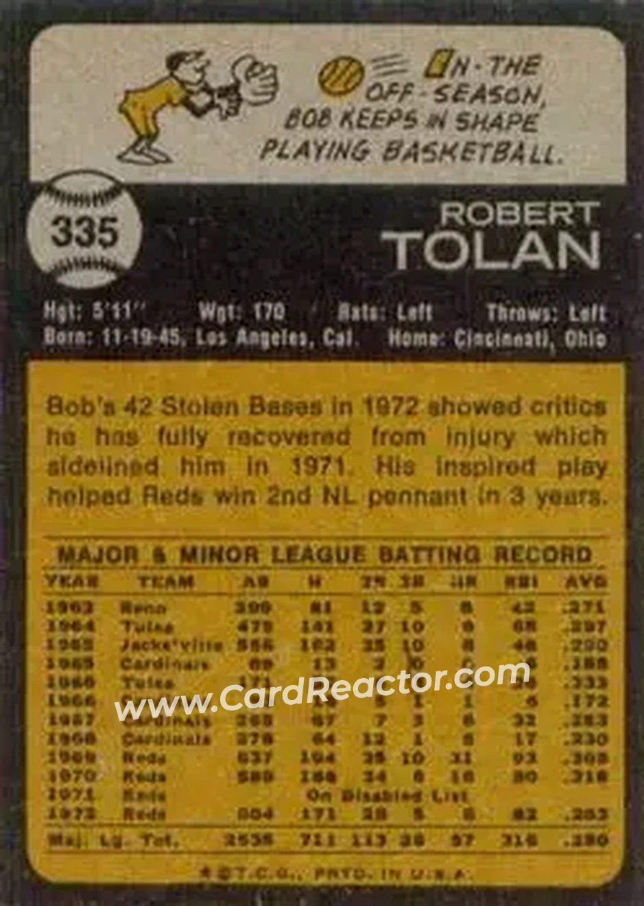 Back of Bob Tolan
