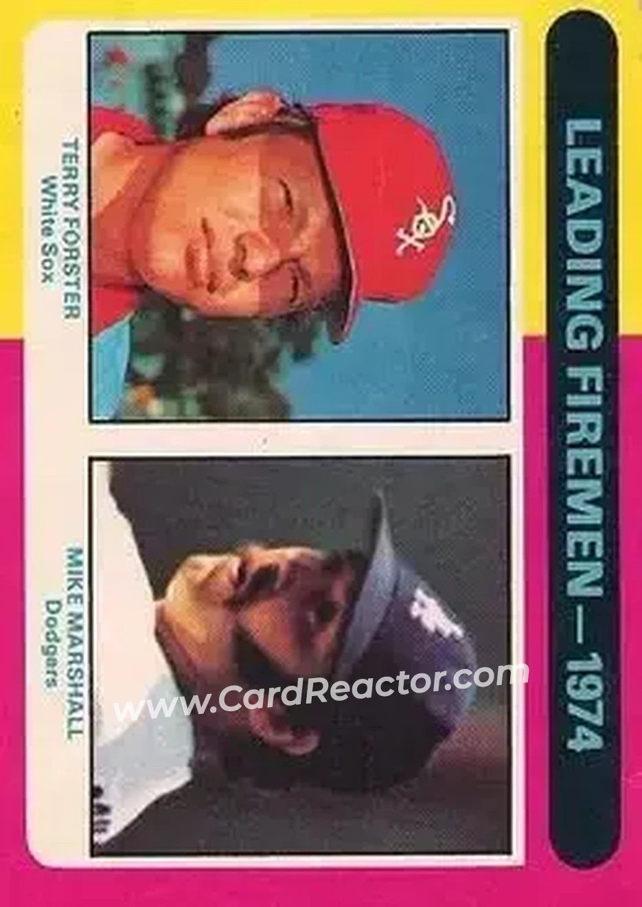 Front of Card #313