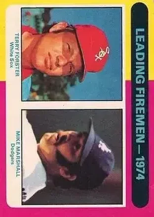 1975 O-Pee-Chee #313 Card #313