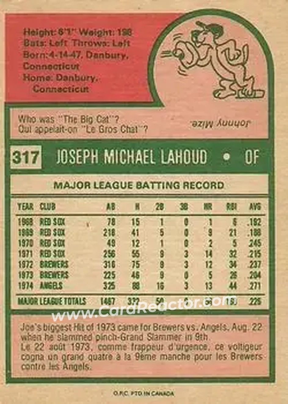 Back of Joe Lahoud