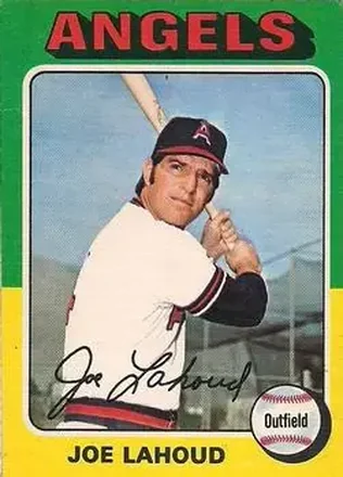 1975 O-Pee-Chee #317 Joe Lahoud