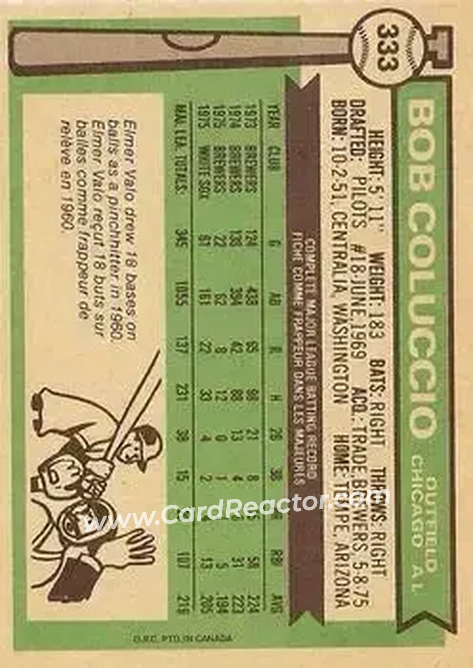 Back of Bob Coluccio