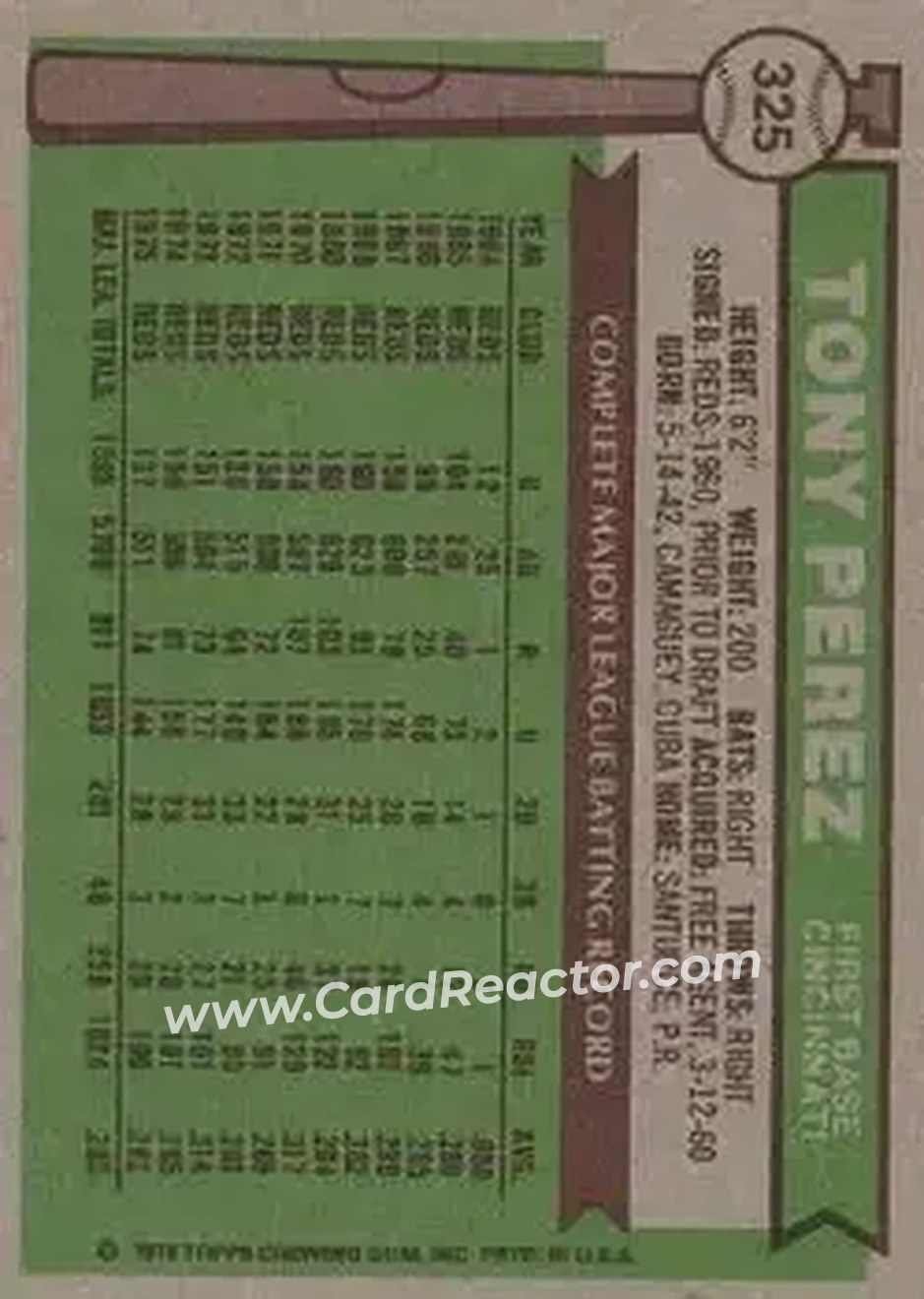 Back of Tony Pérez