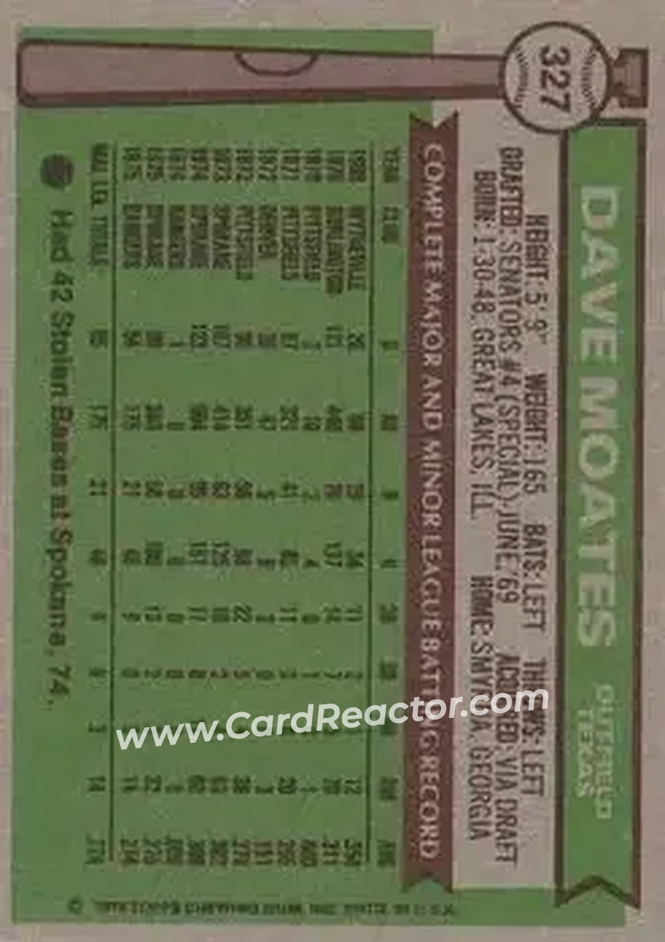 Back of Dave Moates