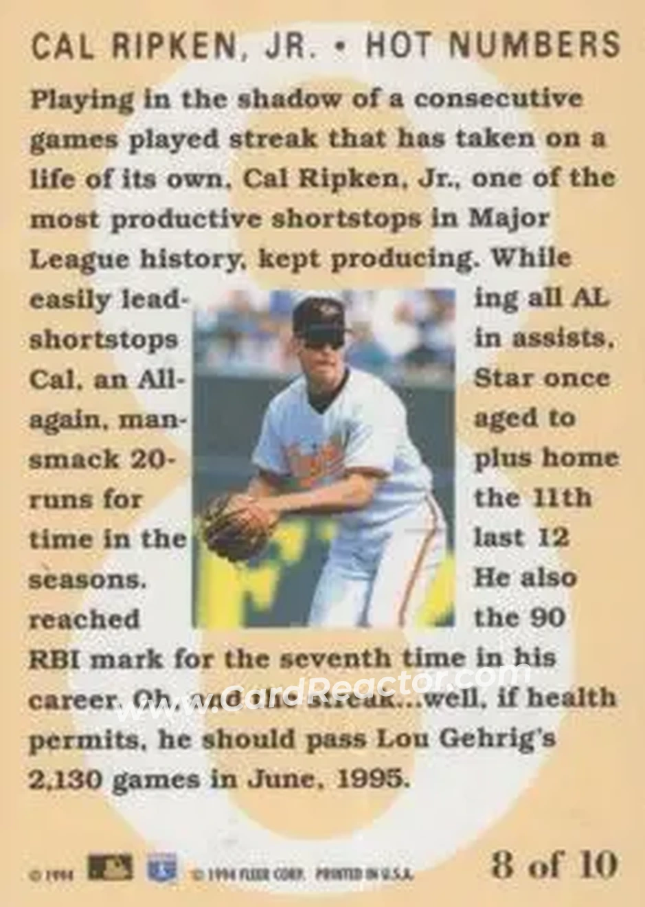 Back of Cal Ripken