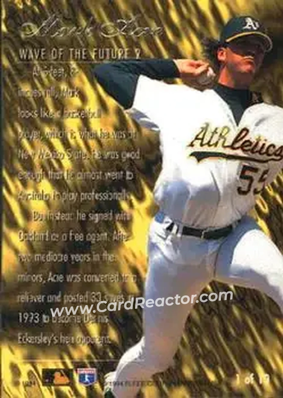 Back of Mark Acre
