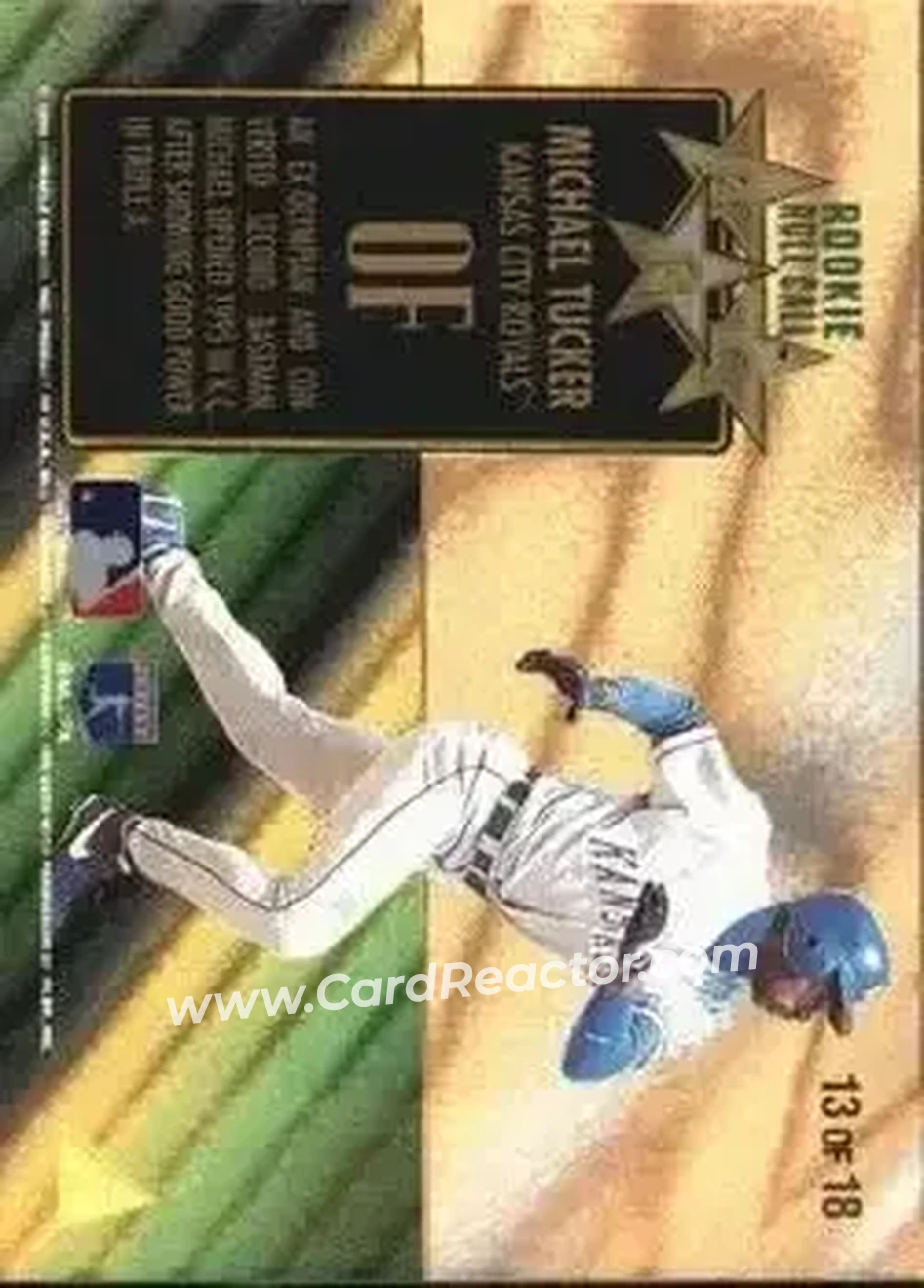 Back of Michael Tucker
