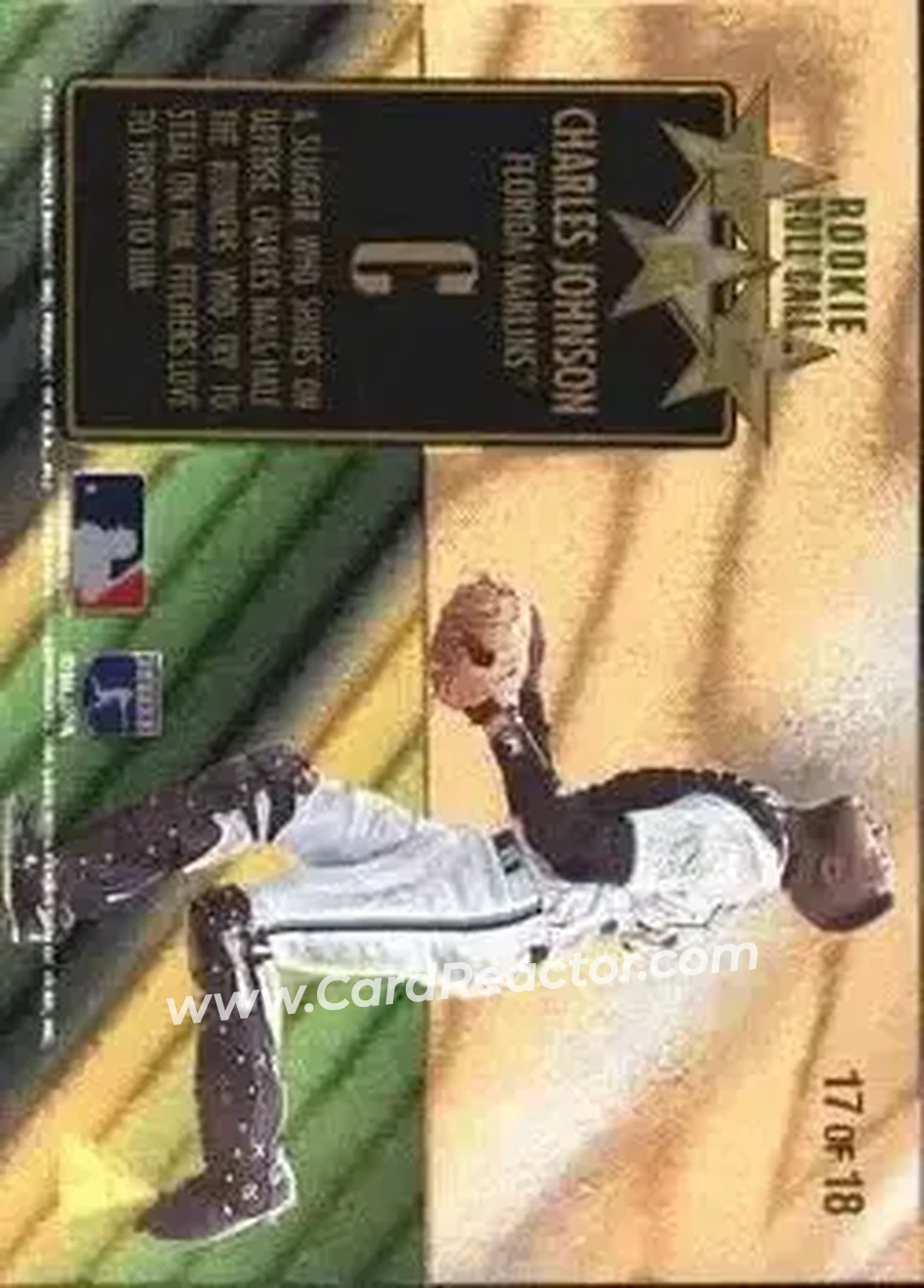 Back of Charles Johnson