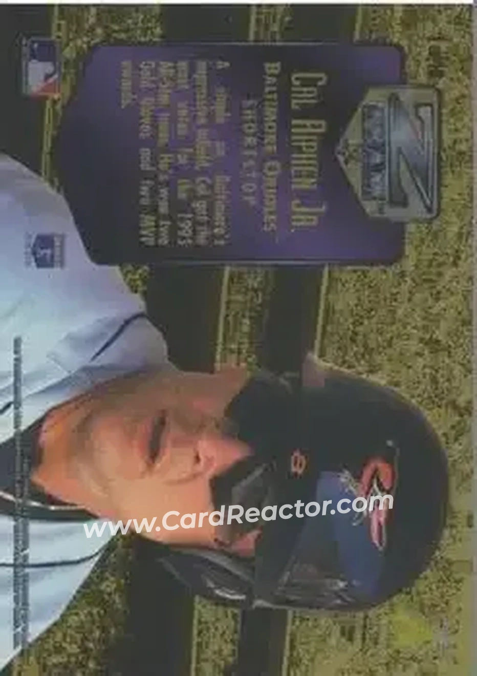 Back of Cal Ripken