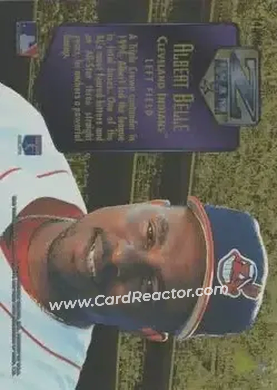 Back of Albert Belle