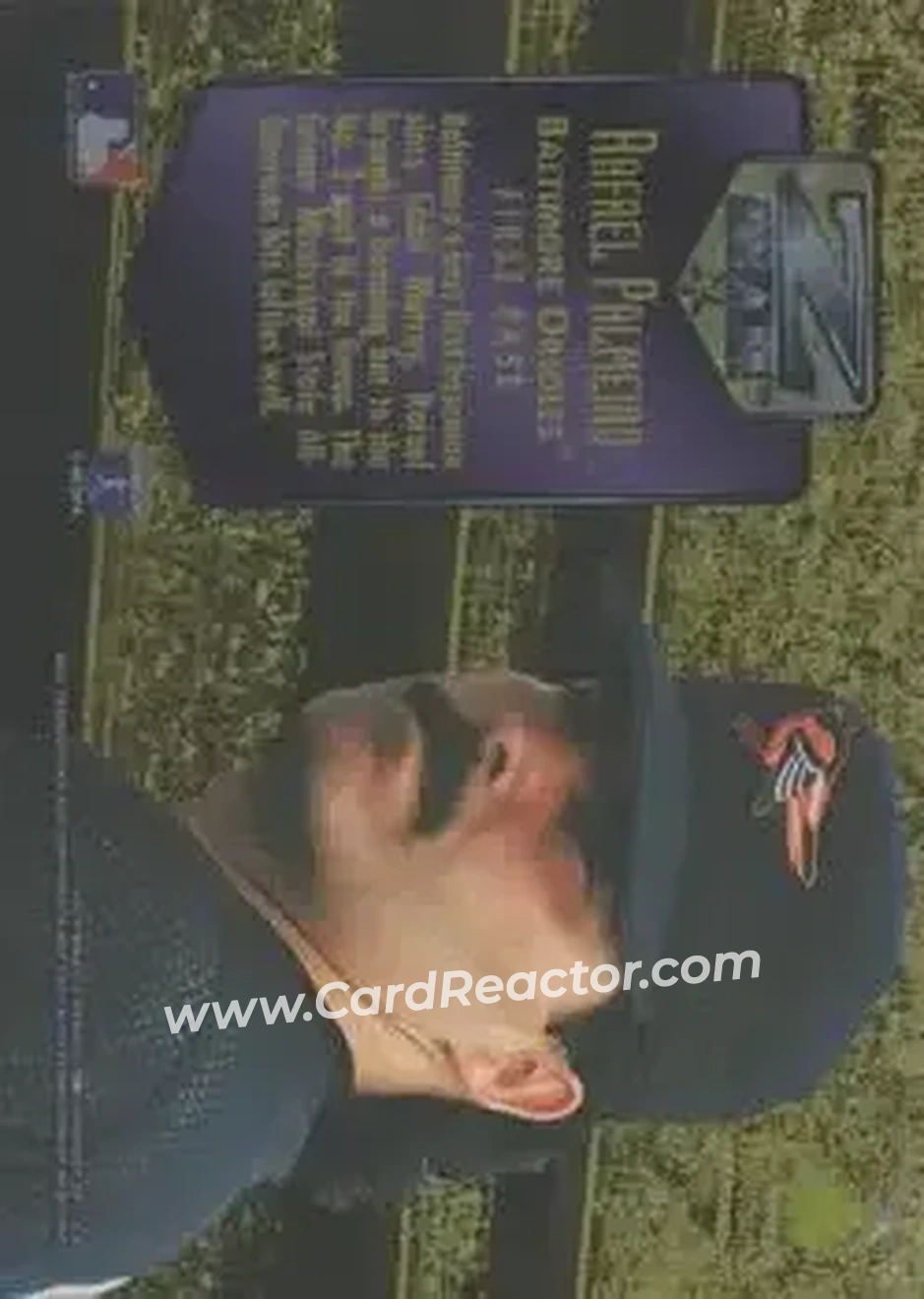Back of Rafael Palmeiro
