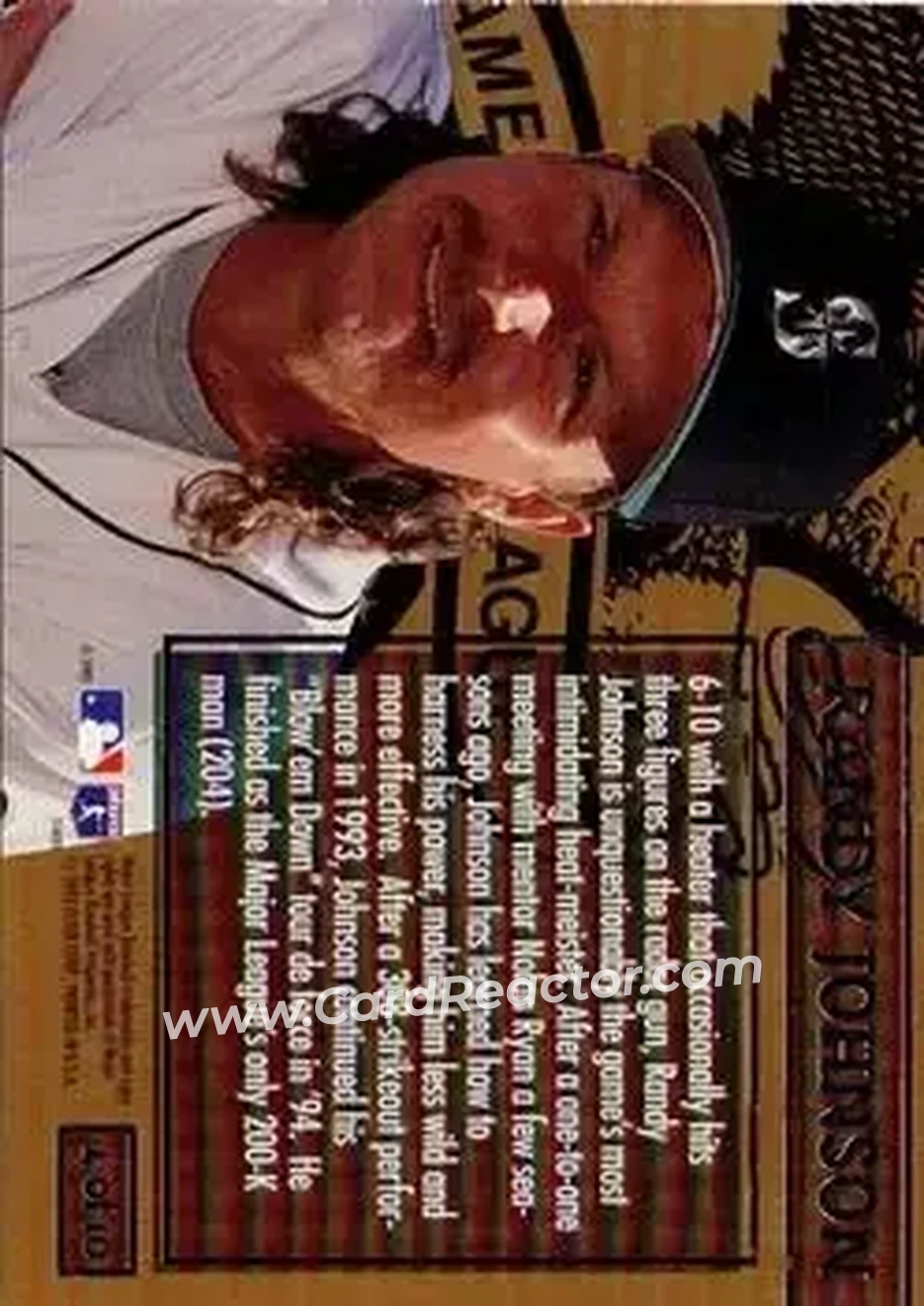 Back of Randy Johnson