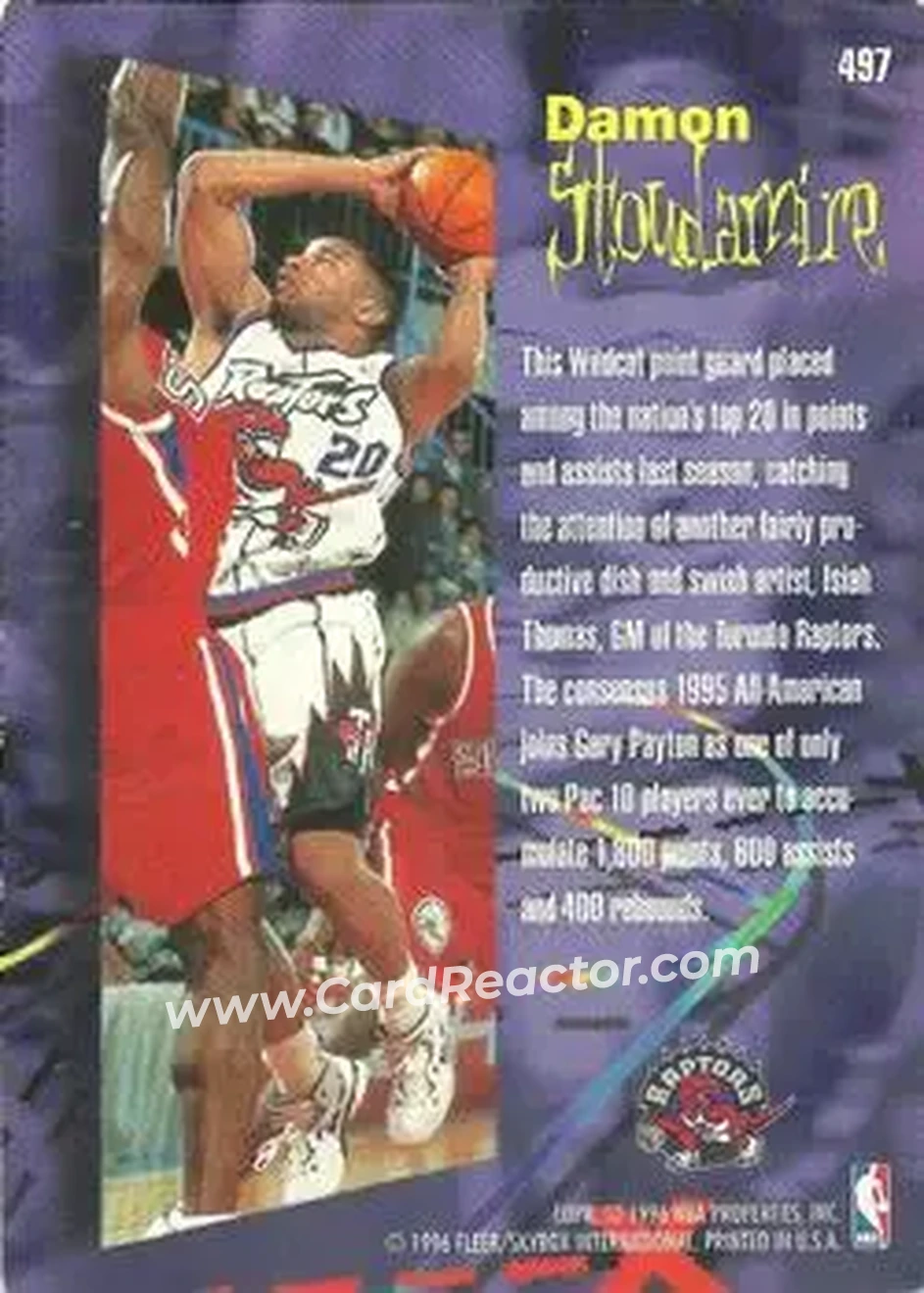 Back of Damon Stoudamire