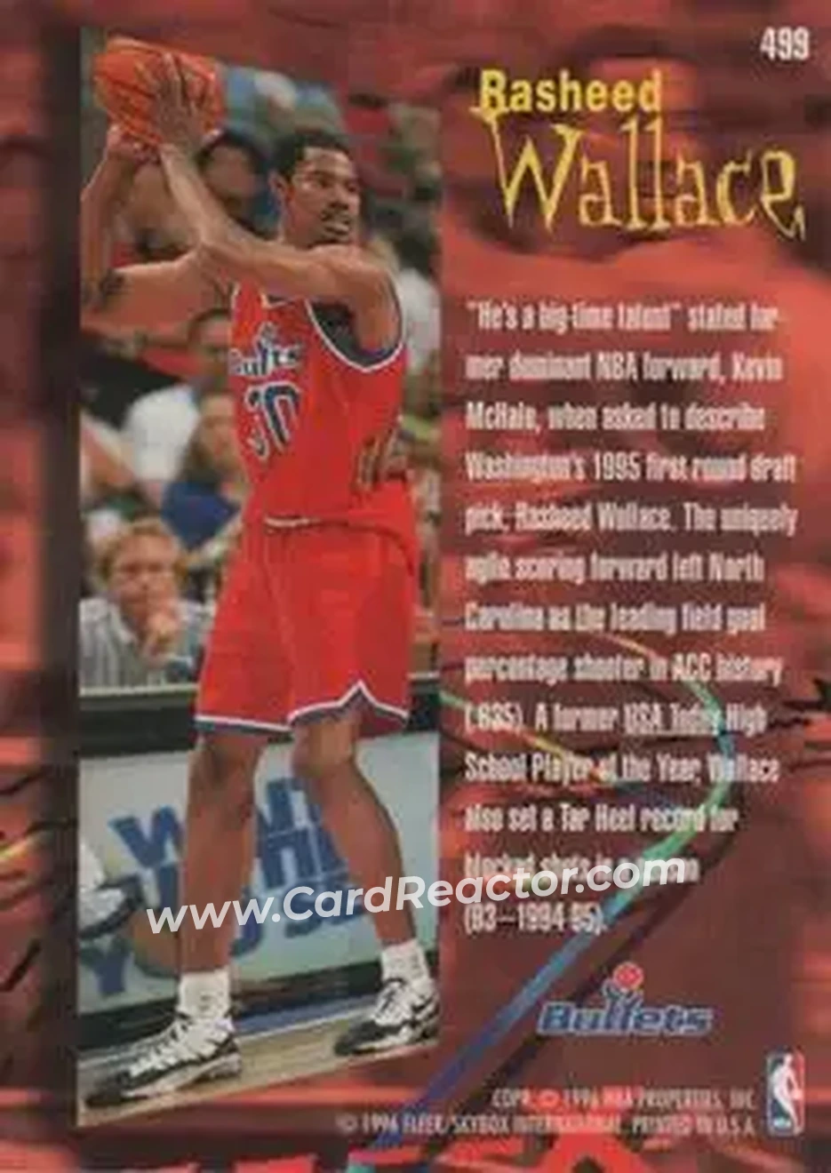 Back of Rasheed Wallace