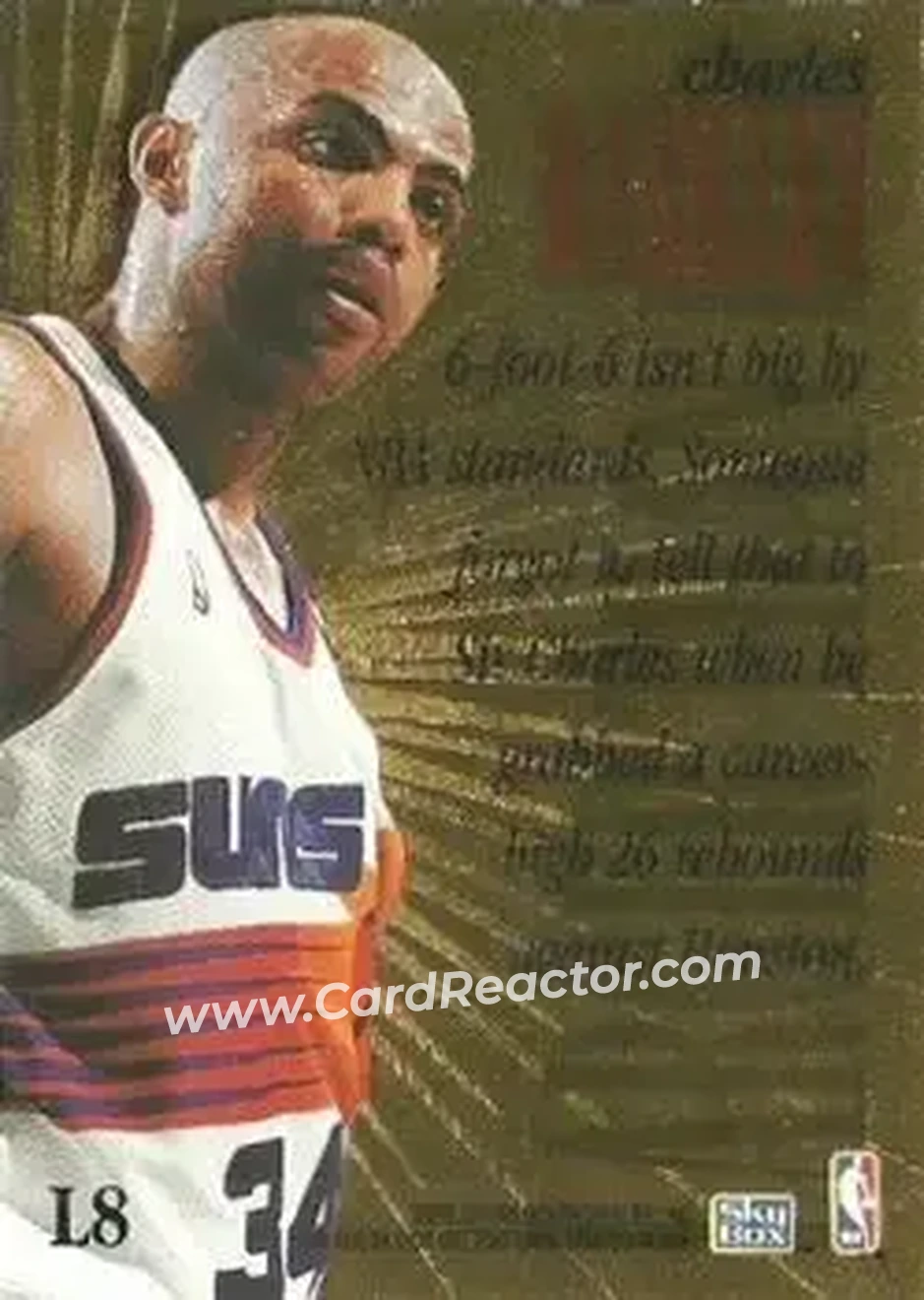 Back of Charles Barkley