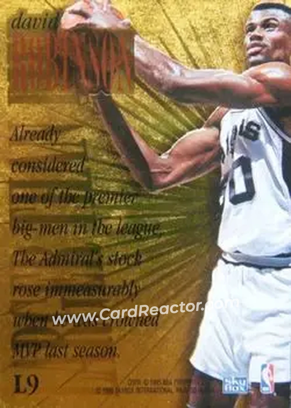 Back of David Robinson
