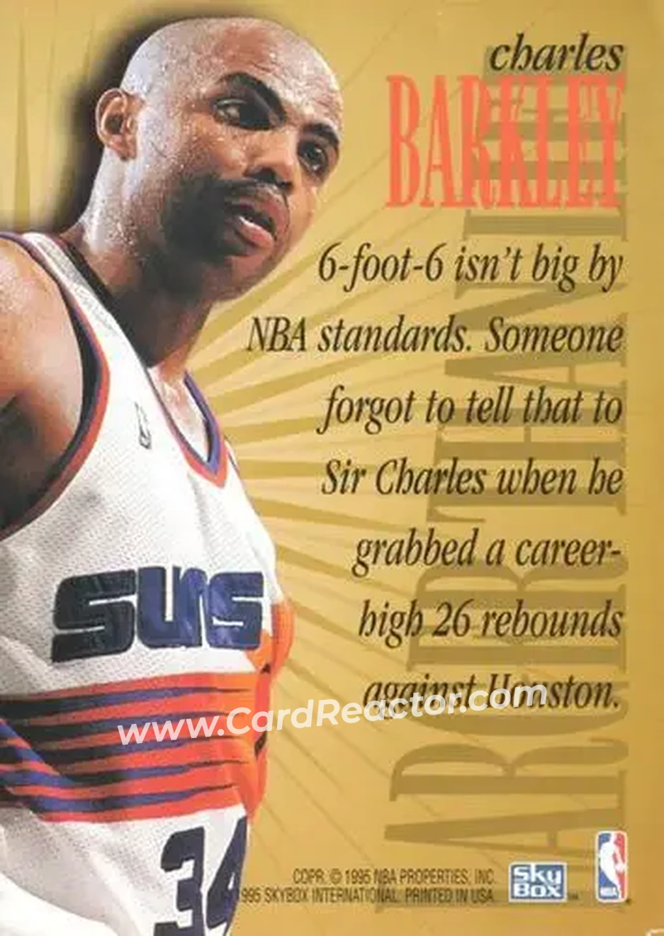 Back of Charles Barkley