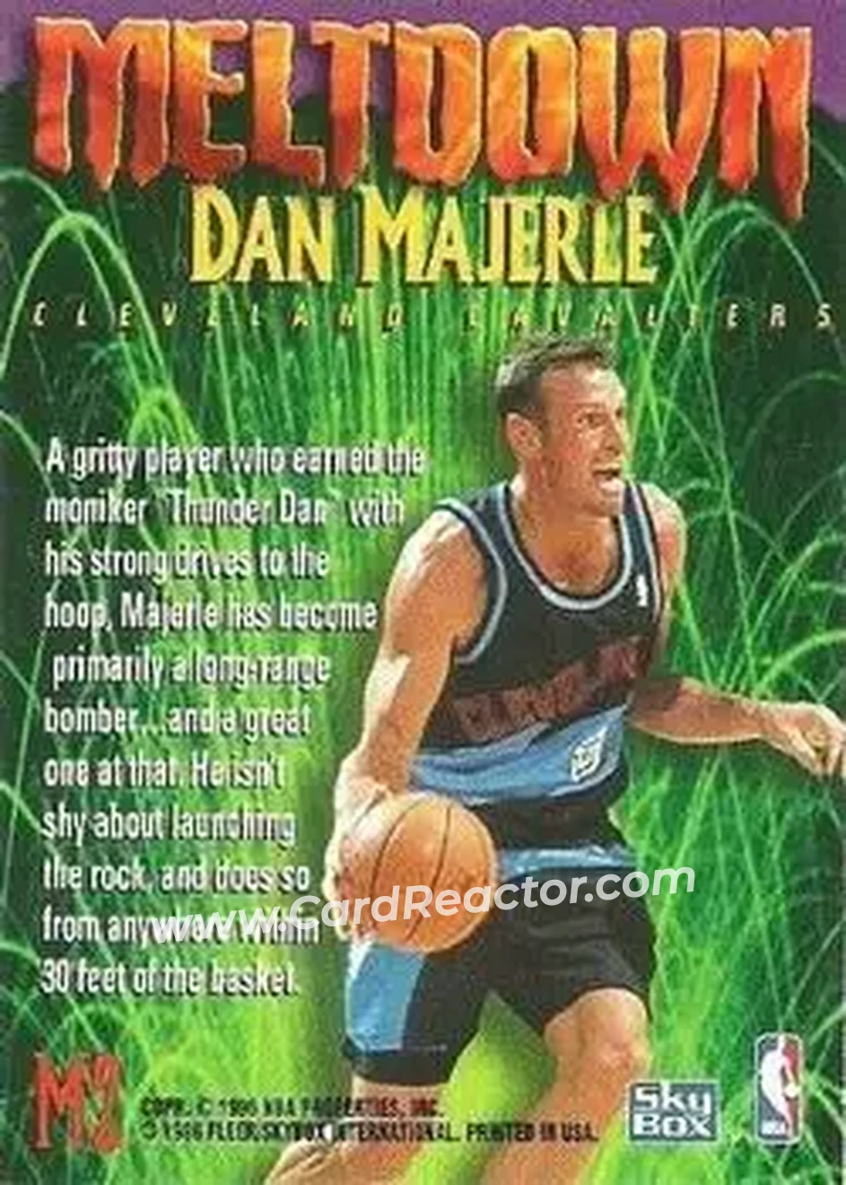 Back of Dan Majerle