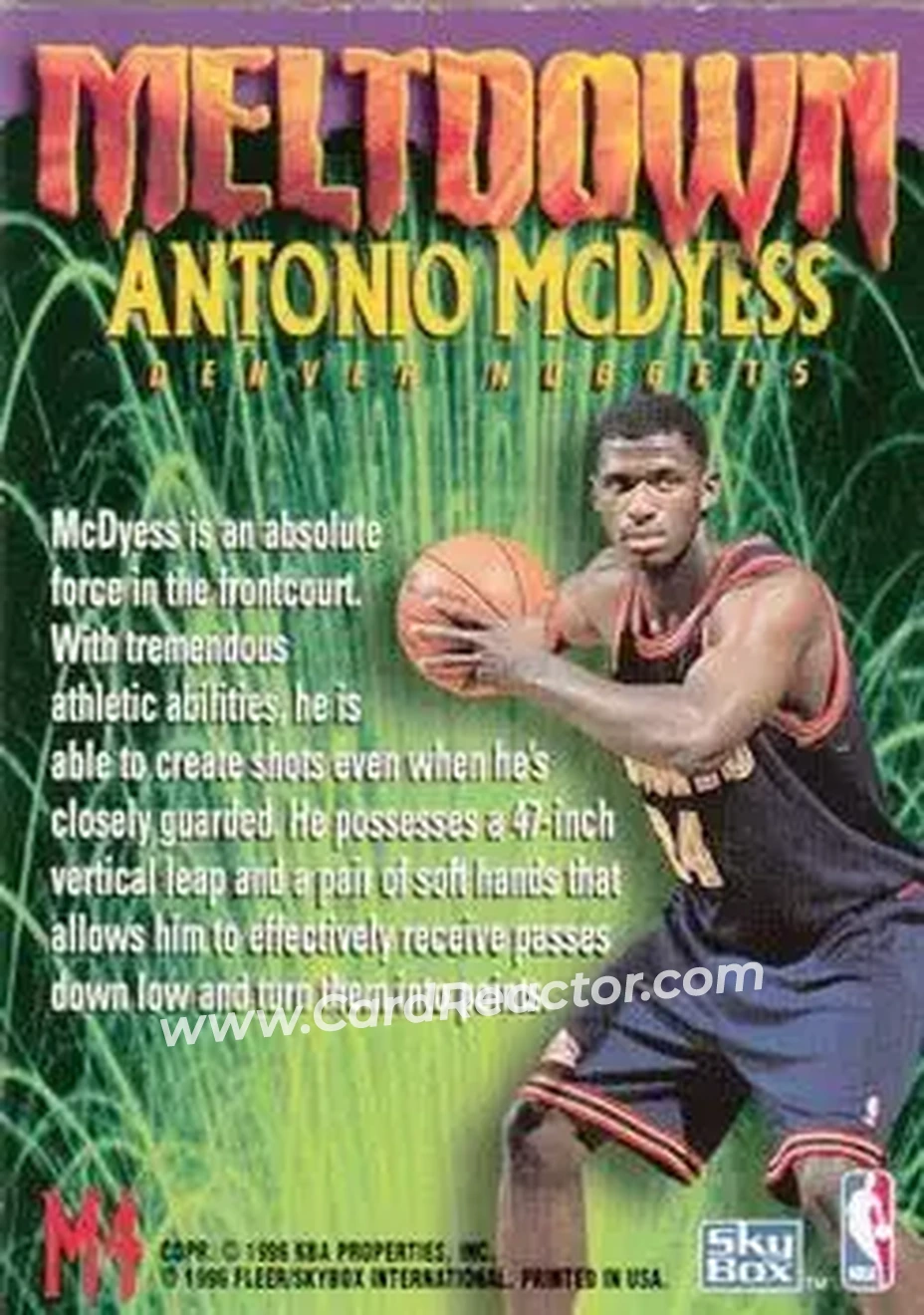Back of Antonio McDyess
