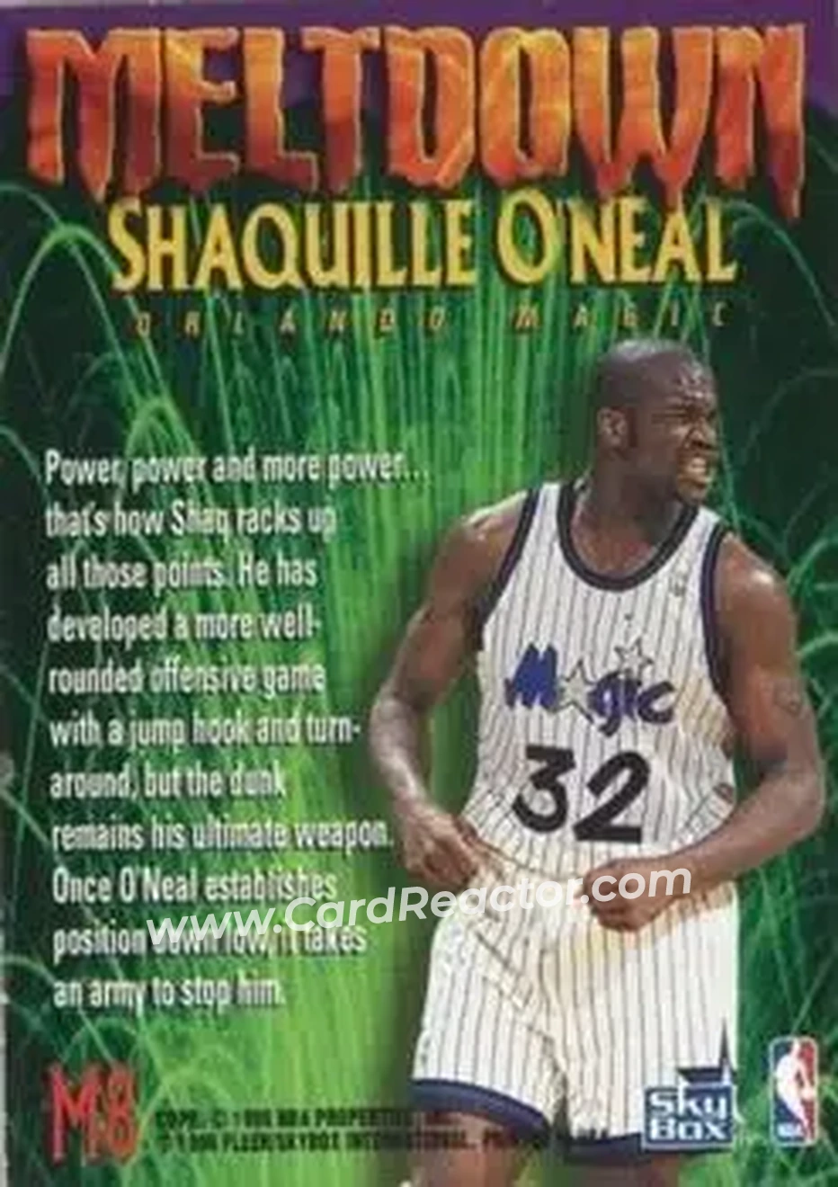 Back of Shaquille O'Neal