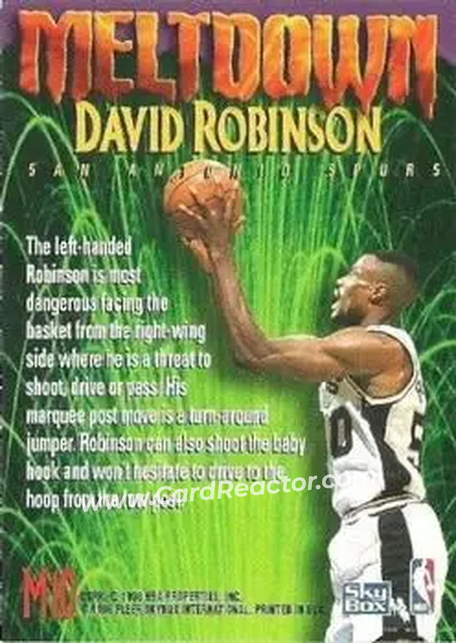 Back of David Robinson