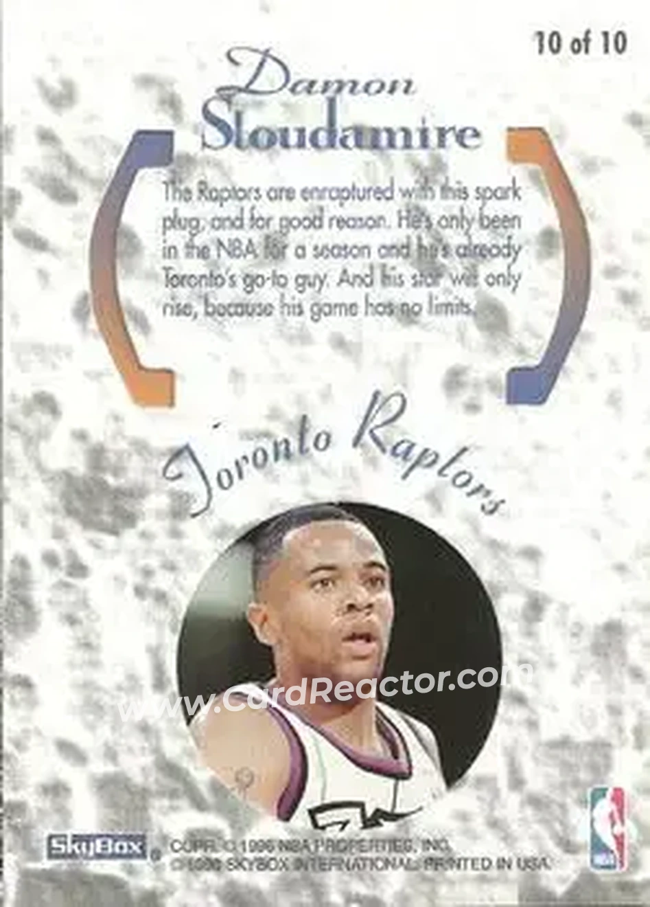 Back of Damon Stoudamire