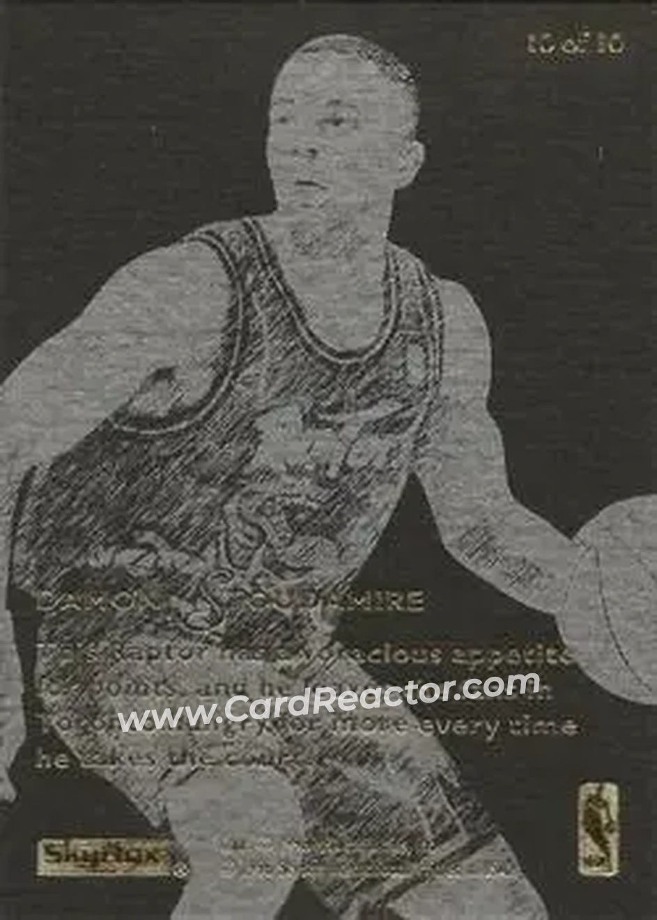 Back of Damon Stoudamire